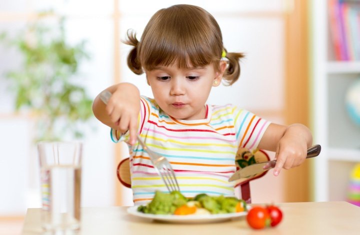 Сохранение свежести продуктов питания в детских садах
